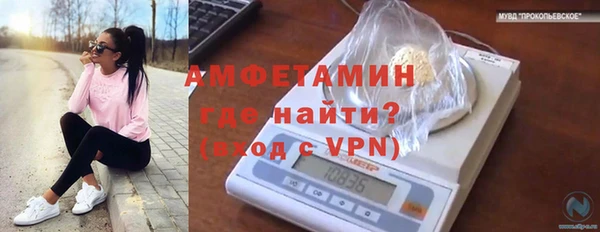 mdpv Богородск