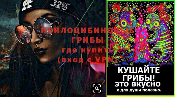 mdpv Богородск