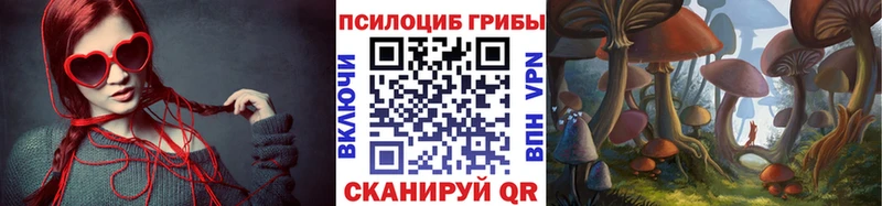 Галлюциногенные грибы прущие грибы  Купить закладки  Сосновка 